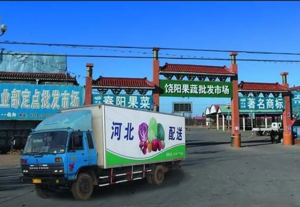 河北饶阳瓜果交易市场